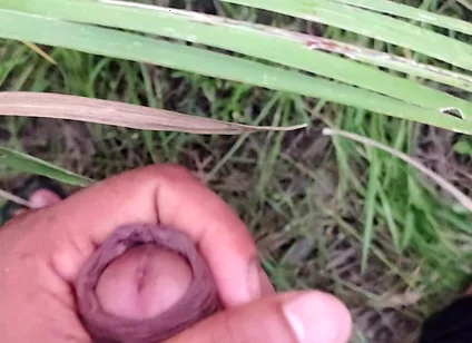 Masturbating in the Sugarcane Field