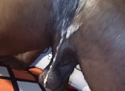 Muscline Hairy Big Black Cock Hairy Ass