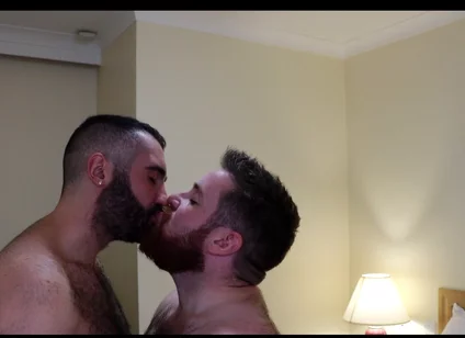 Bears Kissing