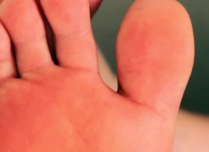 Sniff & Submit Foot Worship Trainer