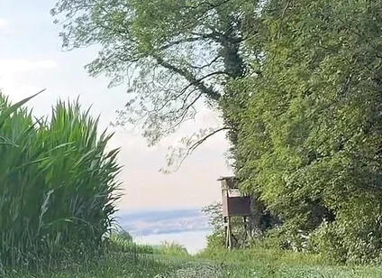 Risky Bwc Stroking Outdoors on Meadow with Lake View - Big Cumshot