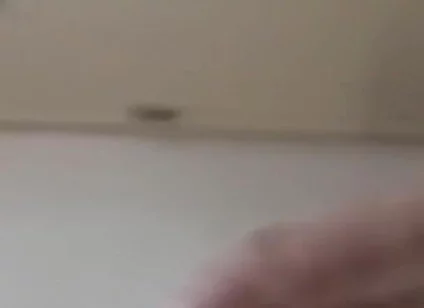 Quick Tease