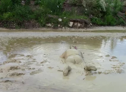 Me Playing in Deep Light Mud