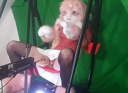 Dildo in My Furry Ass 1