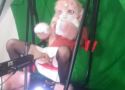 Dildo in My Furry Ass 1