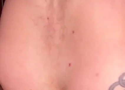 A Wolf Gets Fucked by a Bear