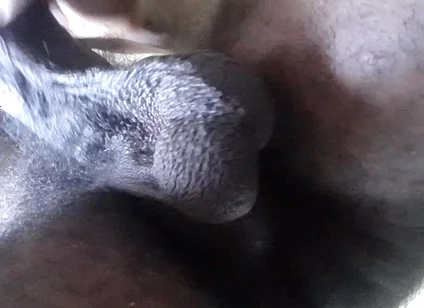 My Ball Sack Swings