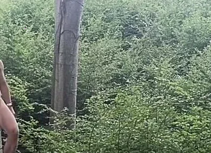 Between the Beeches: Rough Exhibition on Bare Wood