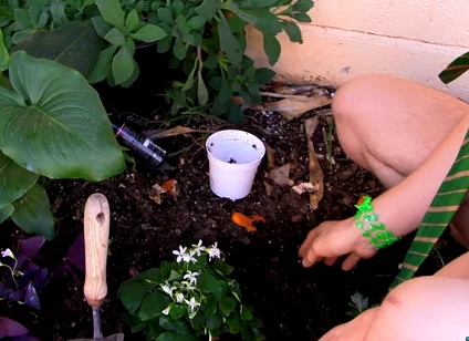 Giving the Plants Some Protein