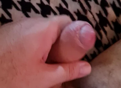 Nice Cock Mirko2589