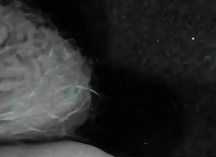 Arc of Sperm, Solo Amateur, Fountain