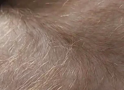 Anybody Want to Run Their Hands Over My Hairy Ginger Chest and Belly?