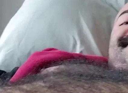 Bounce Bounce