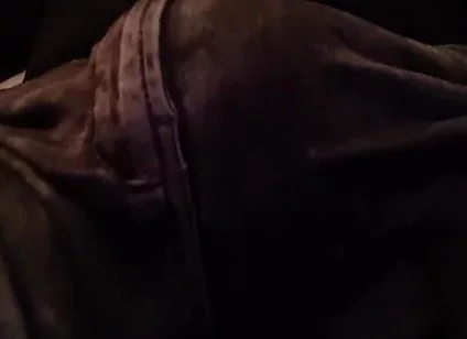 Stepfather on the Phone