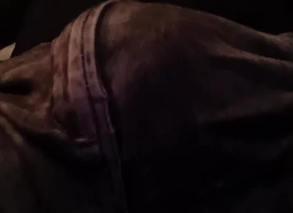 Stepfather on the Phone