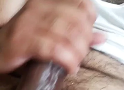 BibearXXX 20