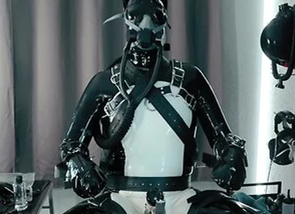 Rubber Pup Bound [pp Training]