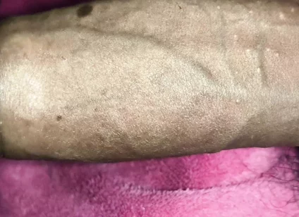 Premium Uncut Desi Hunk Solo Action Vol 6 - Exclusive Faceless Amateur POV New Release