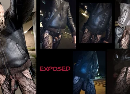 Exposed: Strutting Outside in a Fishnet Bodysuit