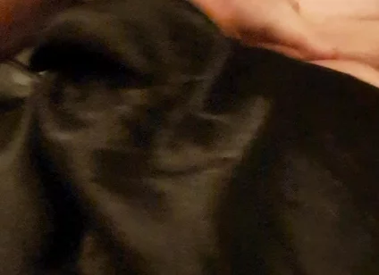 Slut's Cock and Tit Games
