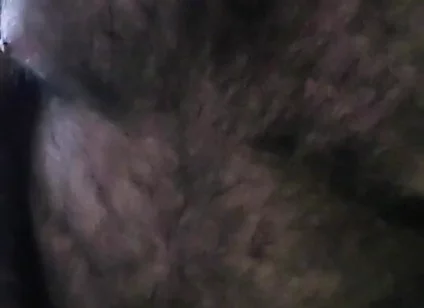 Bear Alone