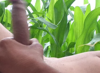 Worldwide Viral Desi Hunk Solo Action Part 4 - Premium Faceless Amateur Close-up Raw Stroking Session 4K