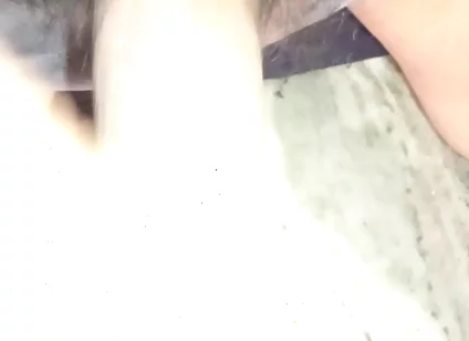 I Feel Like Lick Pussy and Fuck