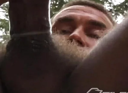 Lumberjacked: Crimes Against Nature