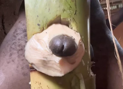 Hoter Way to Be Very Hard Strong Straight Cum Cute