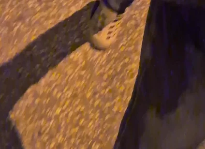 Pissing Jeans in Public