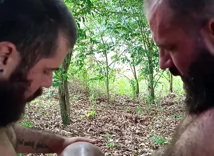 Two Stepbrothers Outdoor Hookup