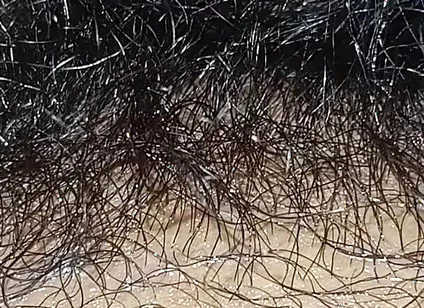 Handboy Masturbation After Frist Time