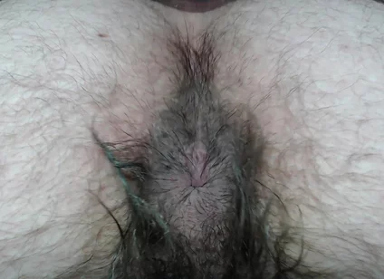 Cock Balls and Hairy Ass of Farts