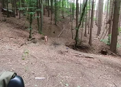 Wilderness Without Inhibitions Chasing in the Middle of the Forest