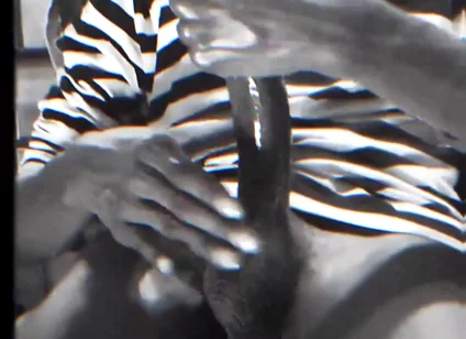 Wanna See a Full Video?