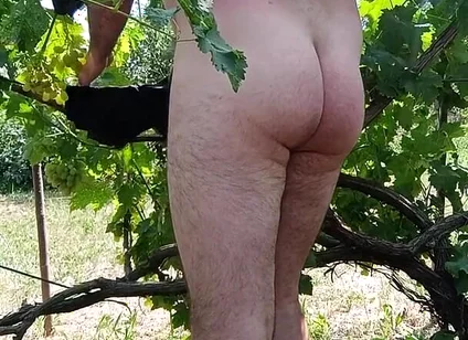 Cumshot in Nature
