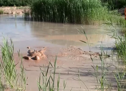 A Short Exploration of a New Mud Lake