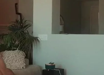 The Robery Was Cut and the Guy Got Punished