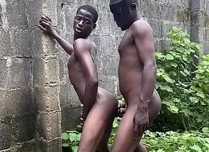 Bush Fucking Section