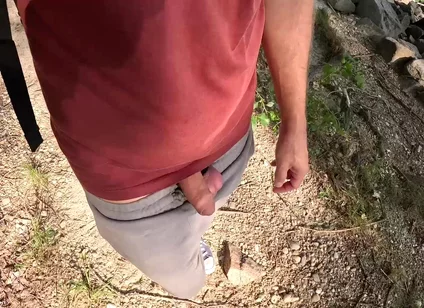 Surprise in the Foliage