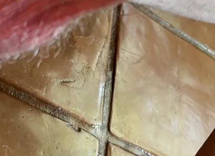 Dirty Talking Precum Covered Sloppy Cock