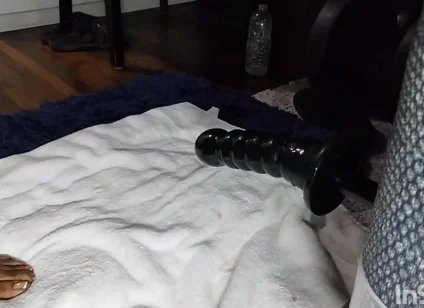 Taking It Deep Doggy Style