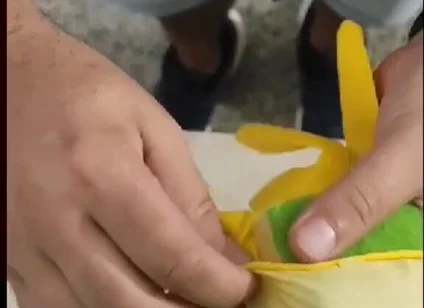 DIY Pussy