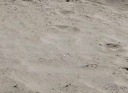 On the Beach Nude