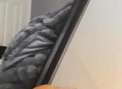Deep Throat Clips