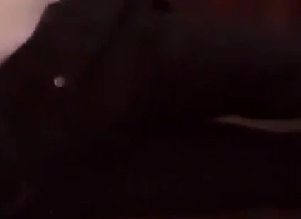 Pants Pulled Down, Dick Between Legs, Jon Arteen Shows His Smooth Tight Ass Hole, Wanks His Horny Twink Cock From Behind