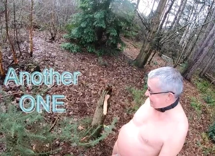 Dildo in the Wood 2