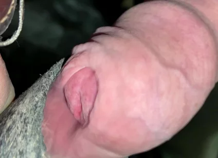 Close up Uncut Handsfree Cumshot After Hose Suction