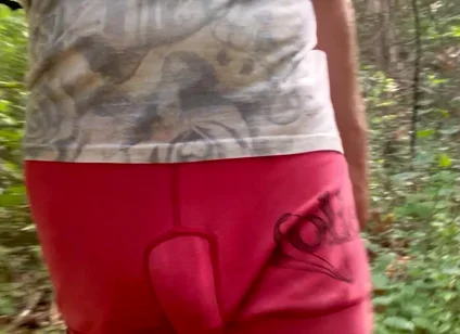 Bulge Walk in a Forest