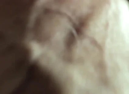 Good Close-up Shot of the Cumshot.